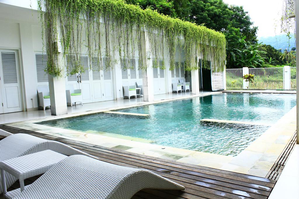 Villa Putih Lovina Exterior foto